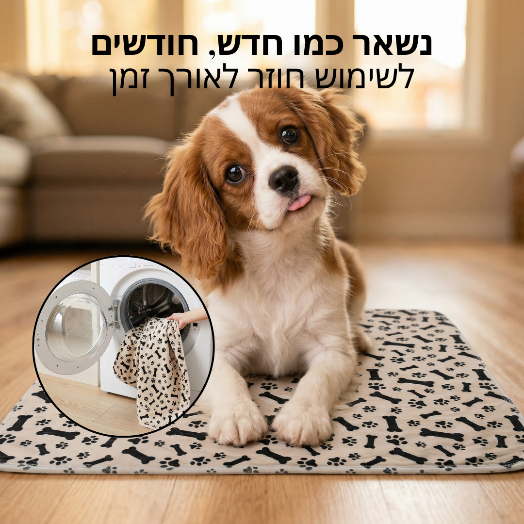 PawGuard Pro - סוף לנזילות בבית
